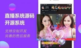 91c直播网站,揭秘热门直播平台的魅力与特色